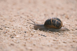 Why Slow Hiring Processes Cost You Top Talent in Warehouse Operations