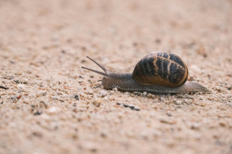 Why Slow Hiring Processes Cost You Top Talent in Warehouse Operations